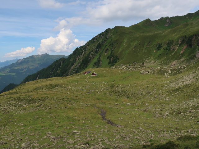 Hochleger der Fellenbergalm