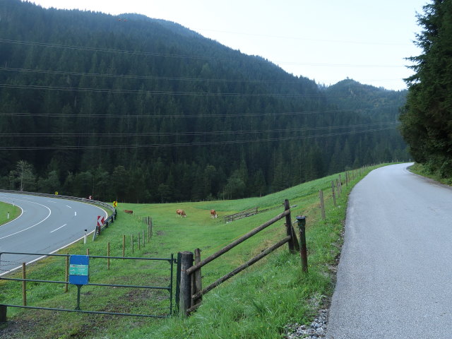 Felbertal (23. Aug.)