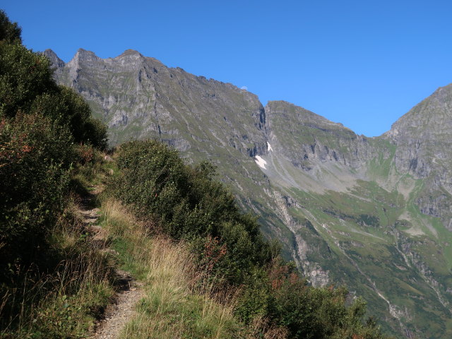 zwischen Felbertal und Schrankeckscharte (23. Aug.)