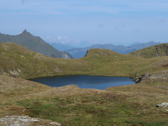 zwischen Schraneckscharte und Hörndl (23. Aug.)