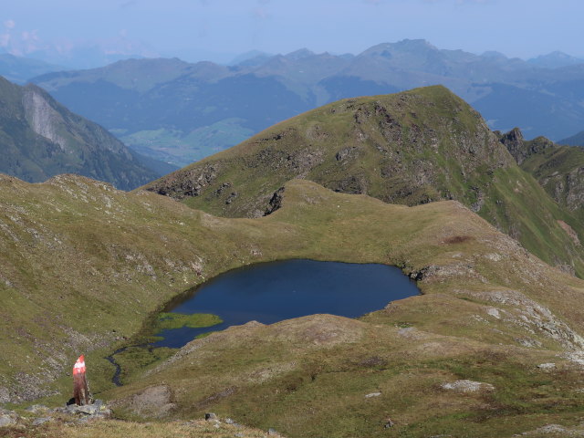 zwischen Schraneckscharte und Hörndl (23. Aug.)