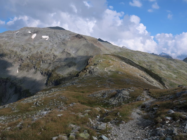 Venediger Höhenweg zwischen Weinbichl und Felber Tauern (23. Aug.)