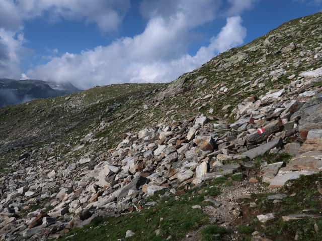 Venediger Höhenweg zwischen Keespölach und First (24. Aug.)