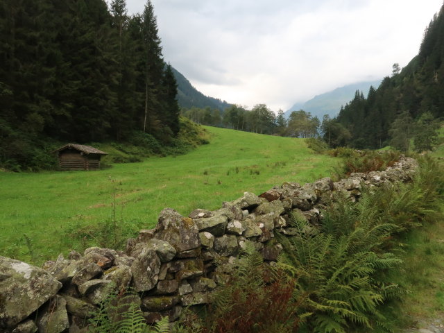 Bachlehrweg Hollersbachtal (25. Aug.)