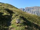 zwischen Felbertal und Schrankeckscharte (23. Aug.)