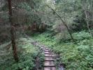 Bachlehrweg Hollersbachtal (25. Aug.)