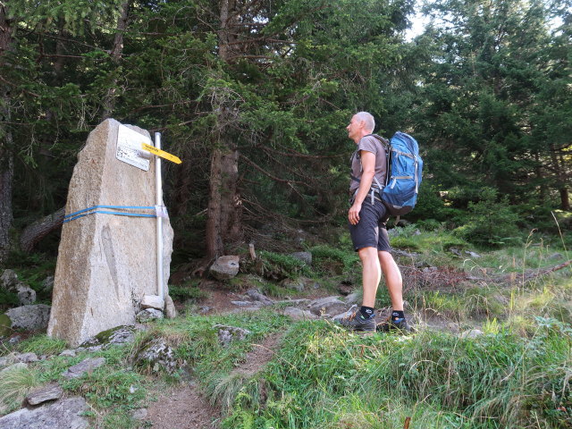 Frank im Rinderwald (31. Aug.)