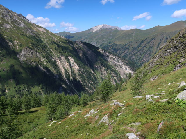 zwischen Unterem Rotgüldensee und Gfererkar (10. Aug.)