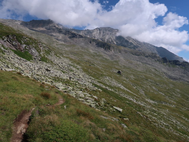 zwischen Kattowitzer Hütte und Krumpenbachleiten (11. Aug.)