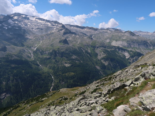 zwischen Kattowitzer Hütte und Krumpenbachleiten (11. Aug.)