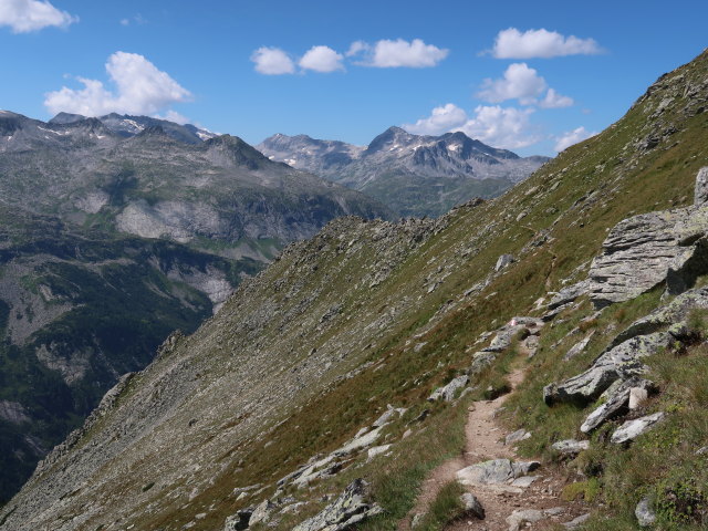 zwischen Kattowitzer Hütte und Krumpenbachleiten (11. Aug.)