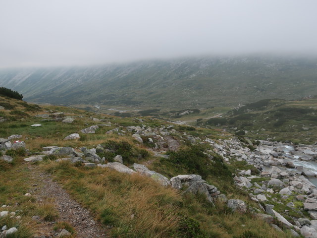 zwischen Osnabrücker Hütte und Fallboden (12. Aug.)