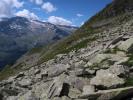 zwischen Kattowitzer Hütte und Krumpenbachleiten (11. Aug.)