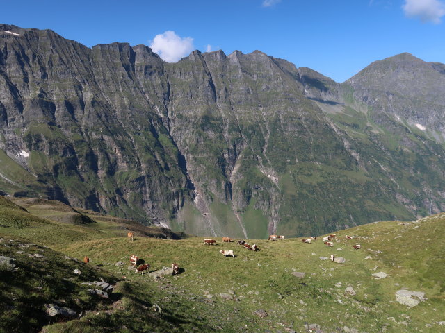 zwischen Felbertal und Schrankeckscharte (23. Aug.)