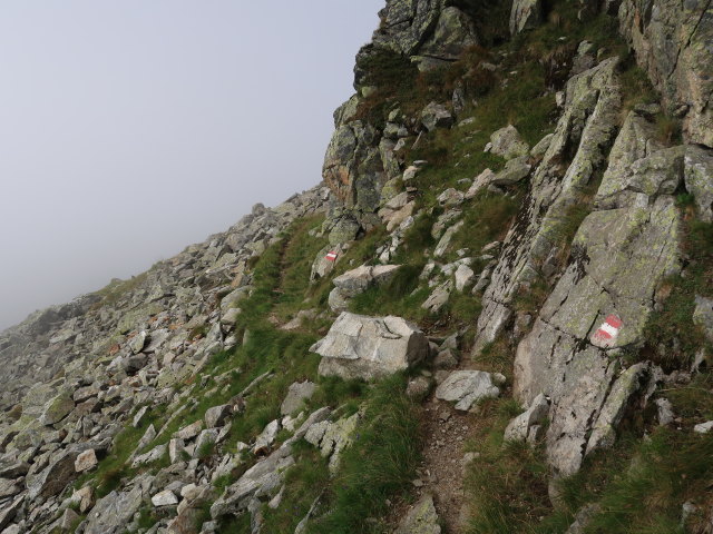 Venediger Höhenweg zwischen Felber Tauern und Dichtenbach (24. Aug.)