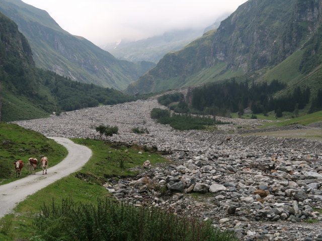 Hollersbachtal (25. Aug.)