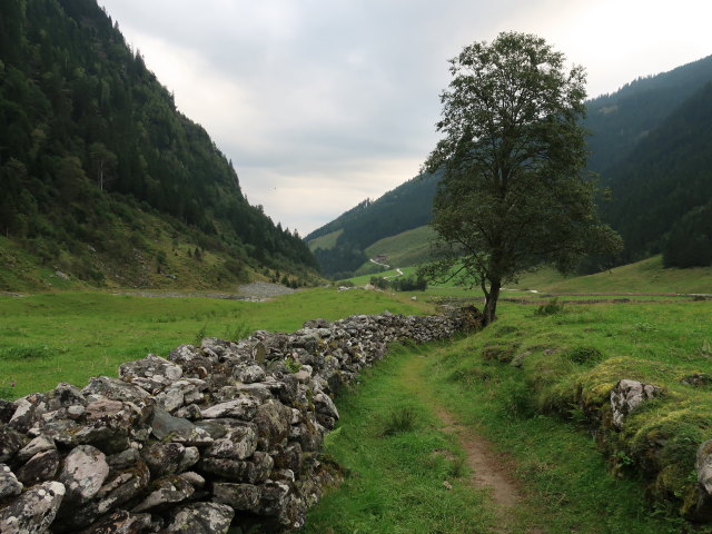 Bachlehrweg Hollersbachtal (25. Aug.)