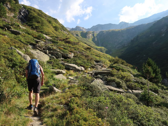 Frank zwischen Rinderwald und Sonntagskarbach (31. Aug.)