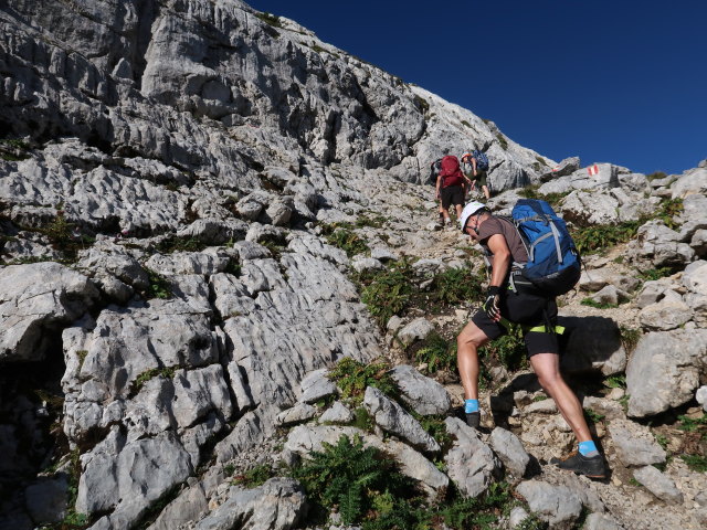 Frank auf der Schusteroute (8. Sep.)