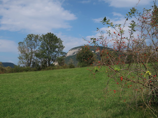 Gösing von Vöstenhof aus