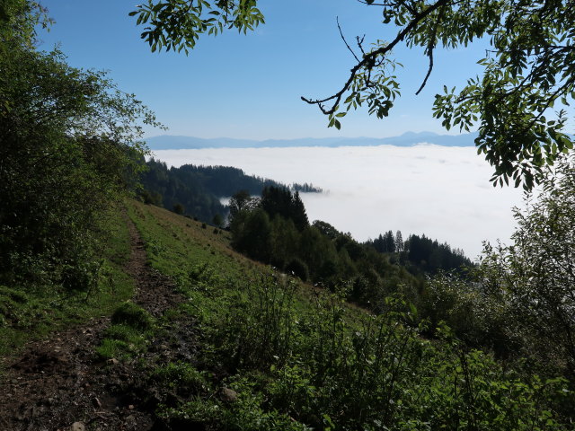 zwischen Pogier und Bayerlhütte