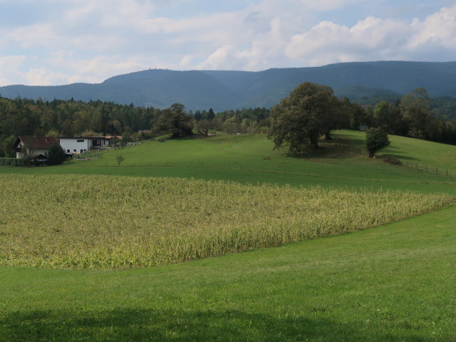 zwischen Vöstenhof und Lenzberg