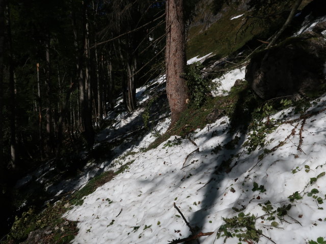 zwischen Wallingalm und Schwarzem Berg