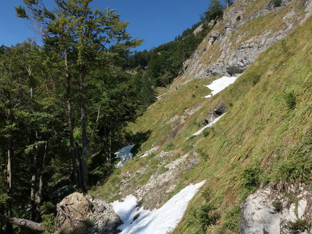 zwischen Wallingalm und Schwarzem Berg