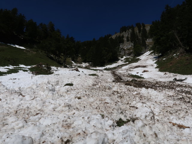 zwischen Wallingalm und Schwarzem Berg