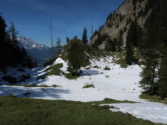 zwischen Wallingalm und Schwarzem Berg