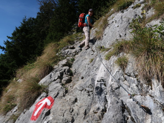 Melanie zwischen Wallingalm und Schwarzem Berg