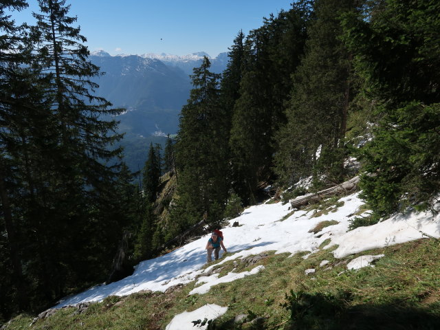 Melanie zwischen Wallingalm und Schwarzem Berg