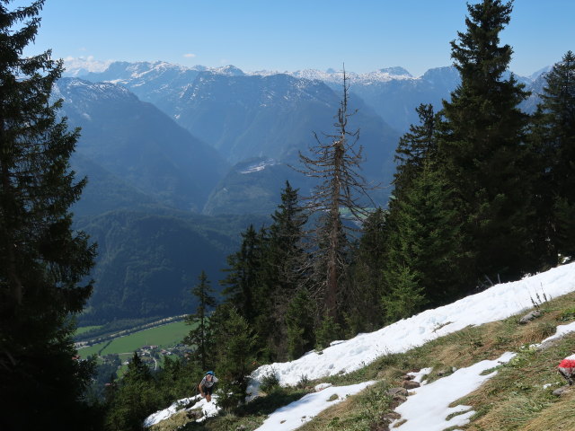 Frank zwischen Wallingalm und Schwarzem Berg