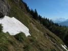 zwischen Wallingalm und Schwarzem Berg