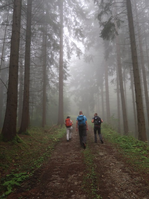 Melanie, Frank und Mario am Römerweg zwischen Pogier und Bayerlhütte