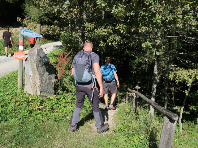 Mario und Frank am Bründlweg zwischen Hochegger und Jausenstation Schäffer-Huber