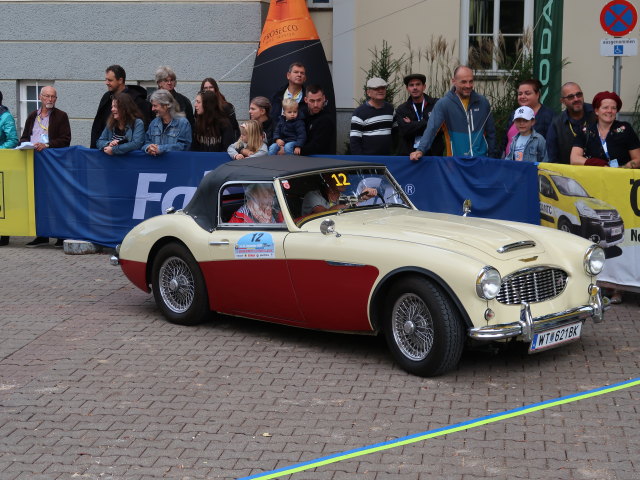 Austin Healey 100/6 BN4 am Rathausplatz