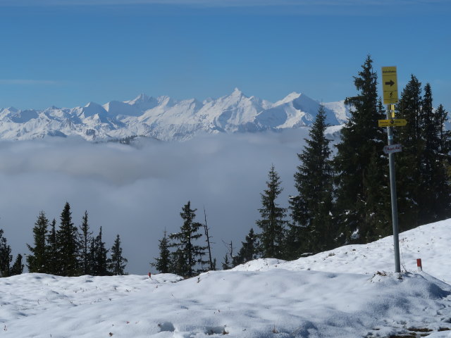 Hohe Tauern vom Hochkeil aus