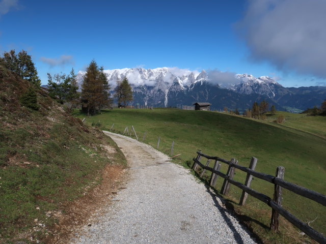 zwischen Mitterbergsattel und Mitterfeldalm