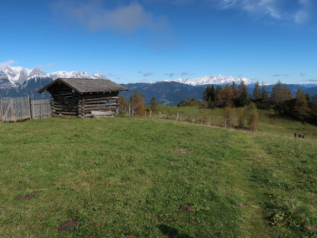 Mitterfeldalm, 1.669 m