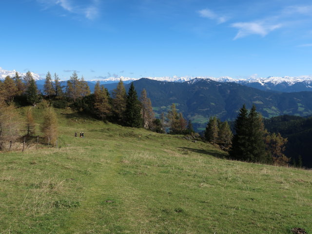 zwischen Mitterfeldalm und Stegalm