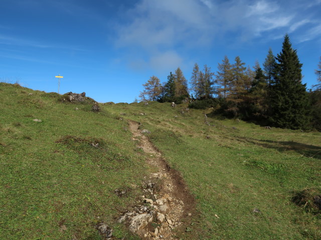 zwischen Mitterfeldalm und Stegalm