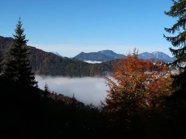 Gamsstein und Voralm vom Ybbssteinbachwald aus