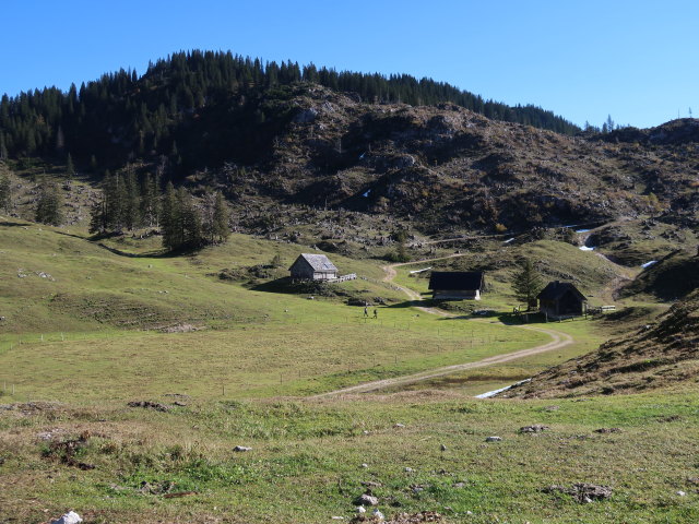 Dürrensteinalm