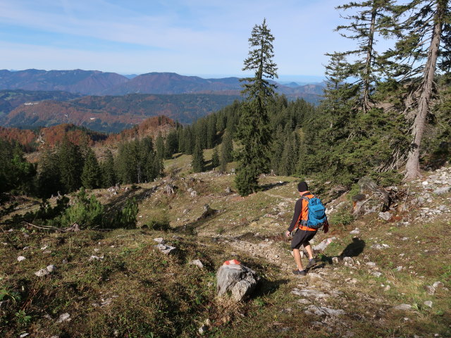 Frank zwischen Noten und Ybbstaler Hütte