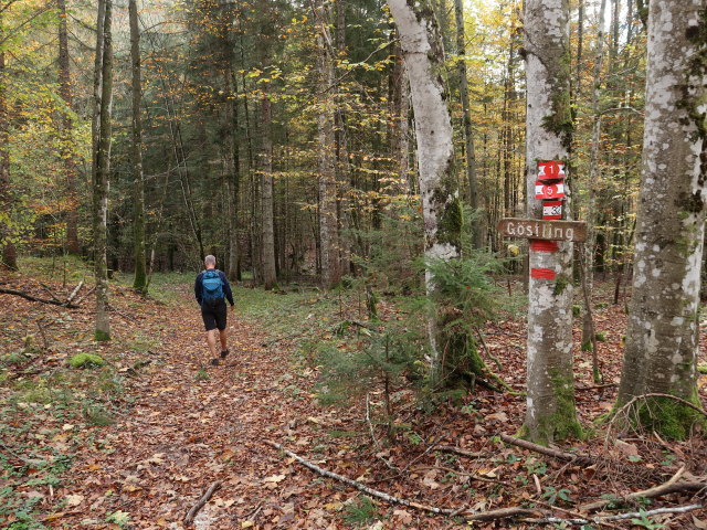 Frank zwischen Ybbstaler Hütte und Höllgraben