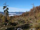 zwischen Gschwendmauer und Ybbstaler Hütte