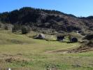 Dürrensteinalm