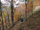 Frank zwischen Ybbstaler Hütte und Höllgraben