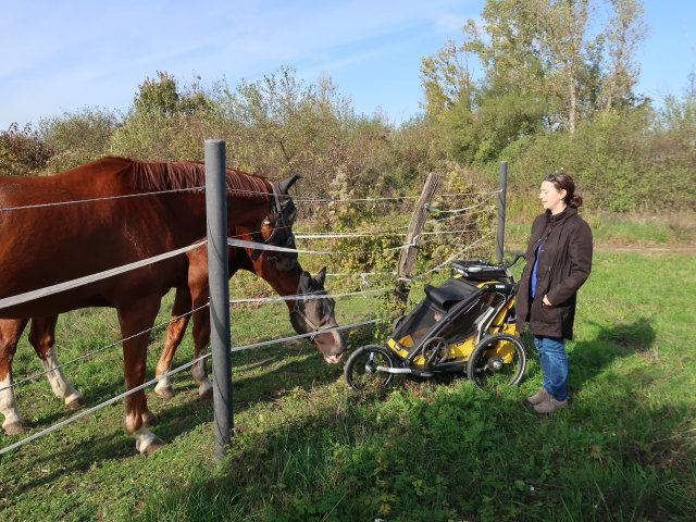 Nils und Sabine beim ReitClub Donaustadt